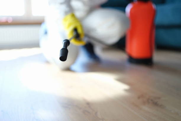 Best Mold Damage Restoration  in Northumberland, PA