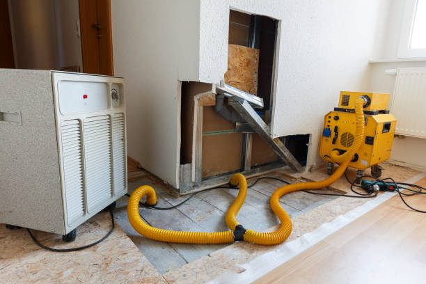 Best Post-Construction Mold Inspection  in Northumberland, PA